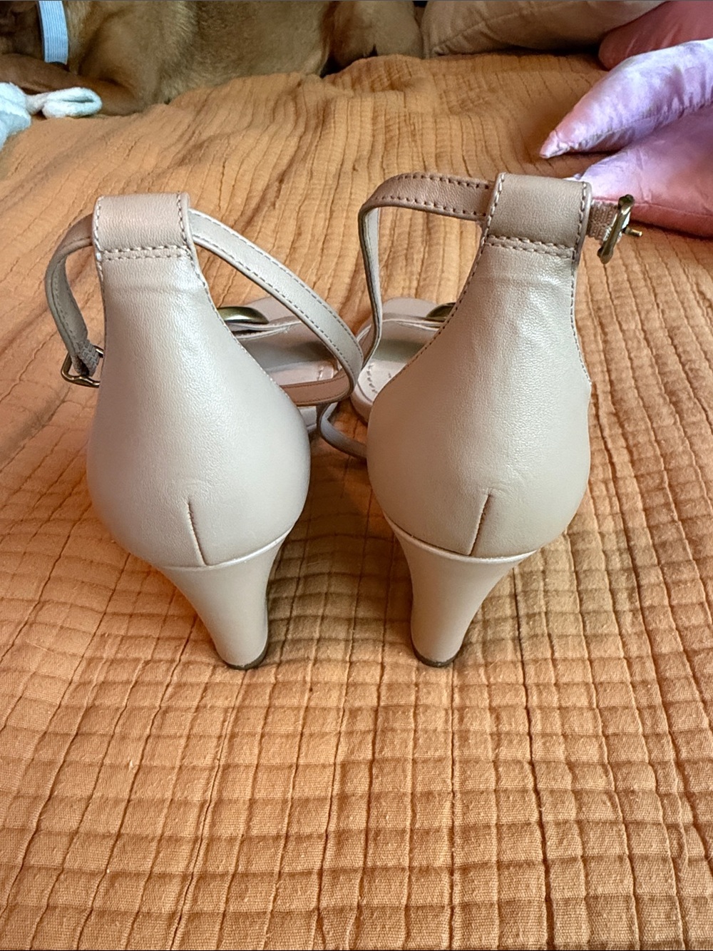 COACH Nude Leather Open-Toe Ankle-Strap Heels with Gold Buckle Detail - Picture 2 of 3